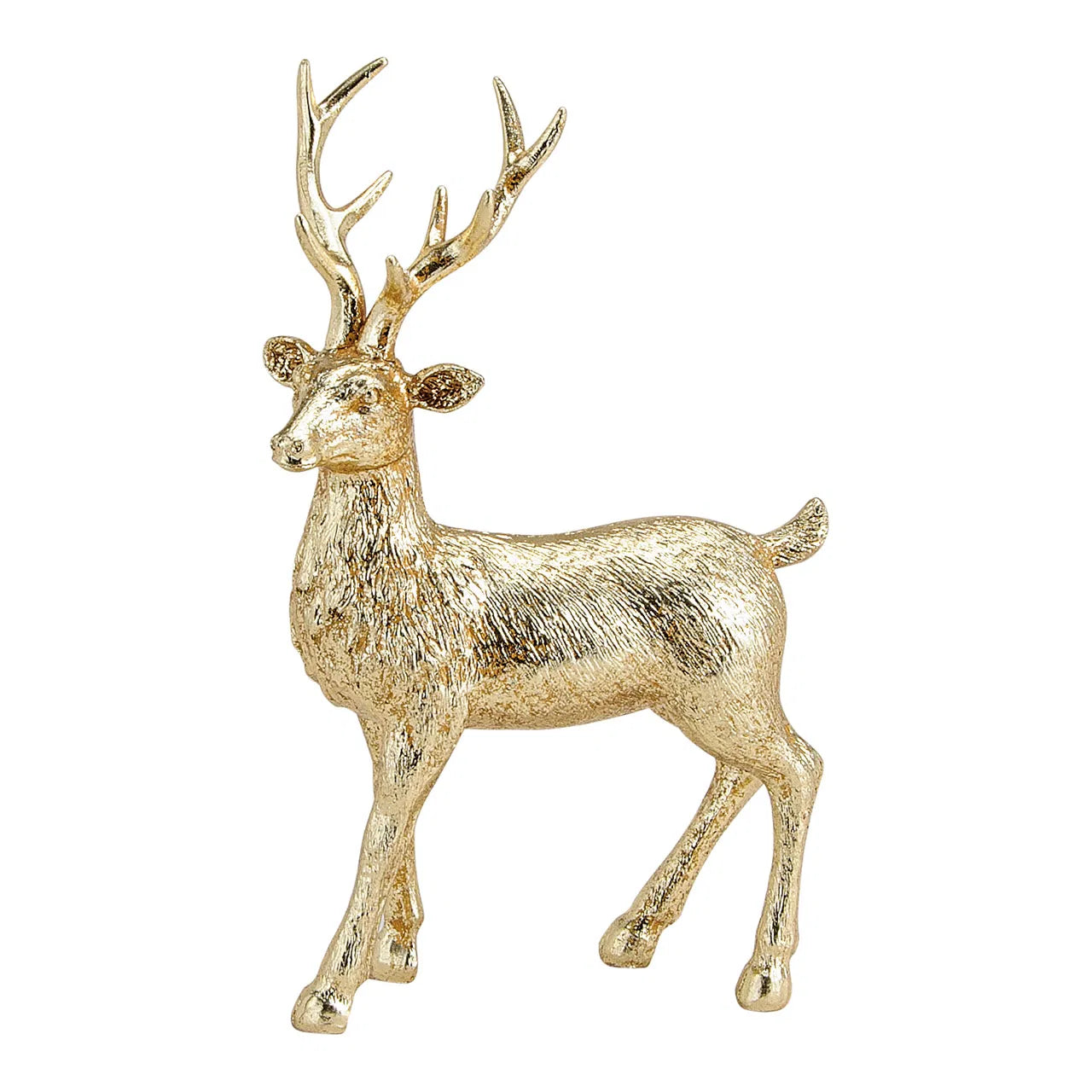 Cerf or GM