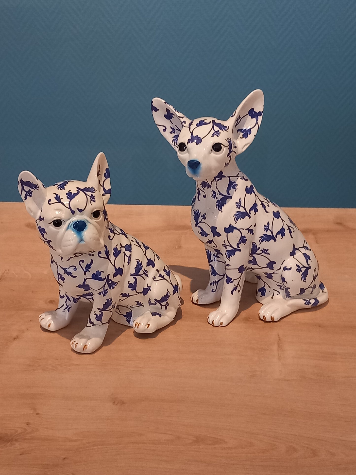 Bouledogue Blanc et Bleu