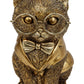 Chat avec lunettes