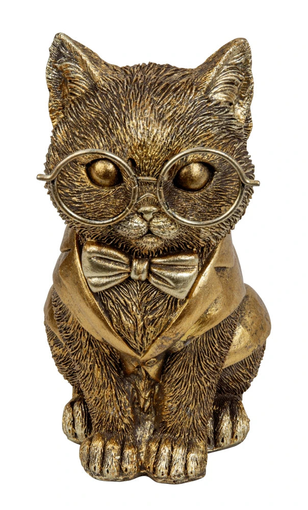 Chat avec lunettes