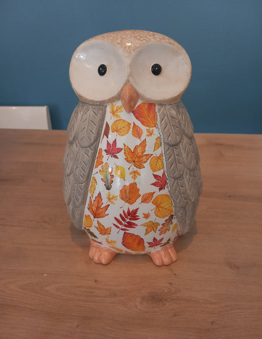 Hibou d'automne