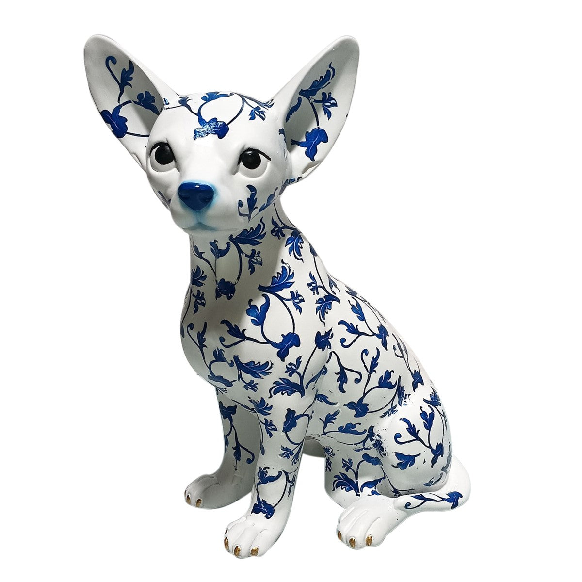 Chihuahua Blanc et Bleu