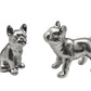Bouledogue Argent