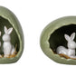 Lapins dans nid d'oeuf