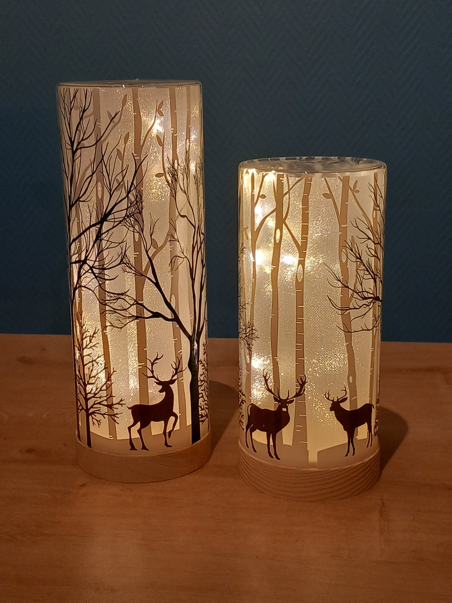 Photophore LED Hiver