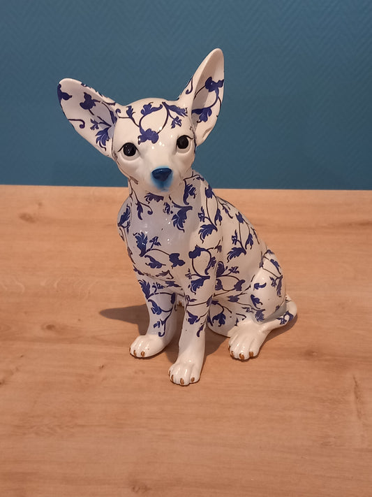 Chihuahua Blanc et Bleu