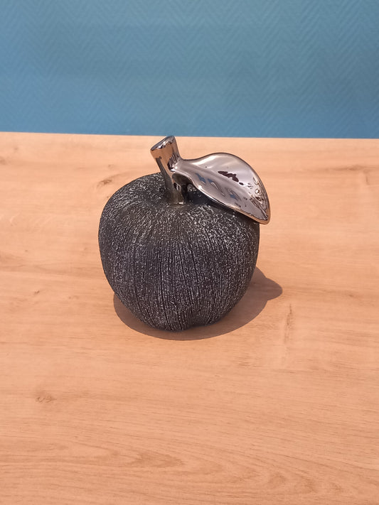 Pomme Gris Anthracite/Argent