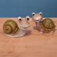 Escargot/Tortue