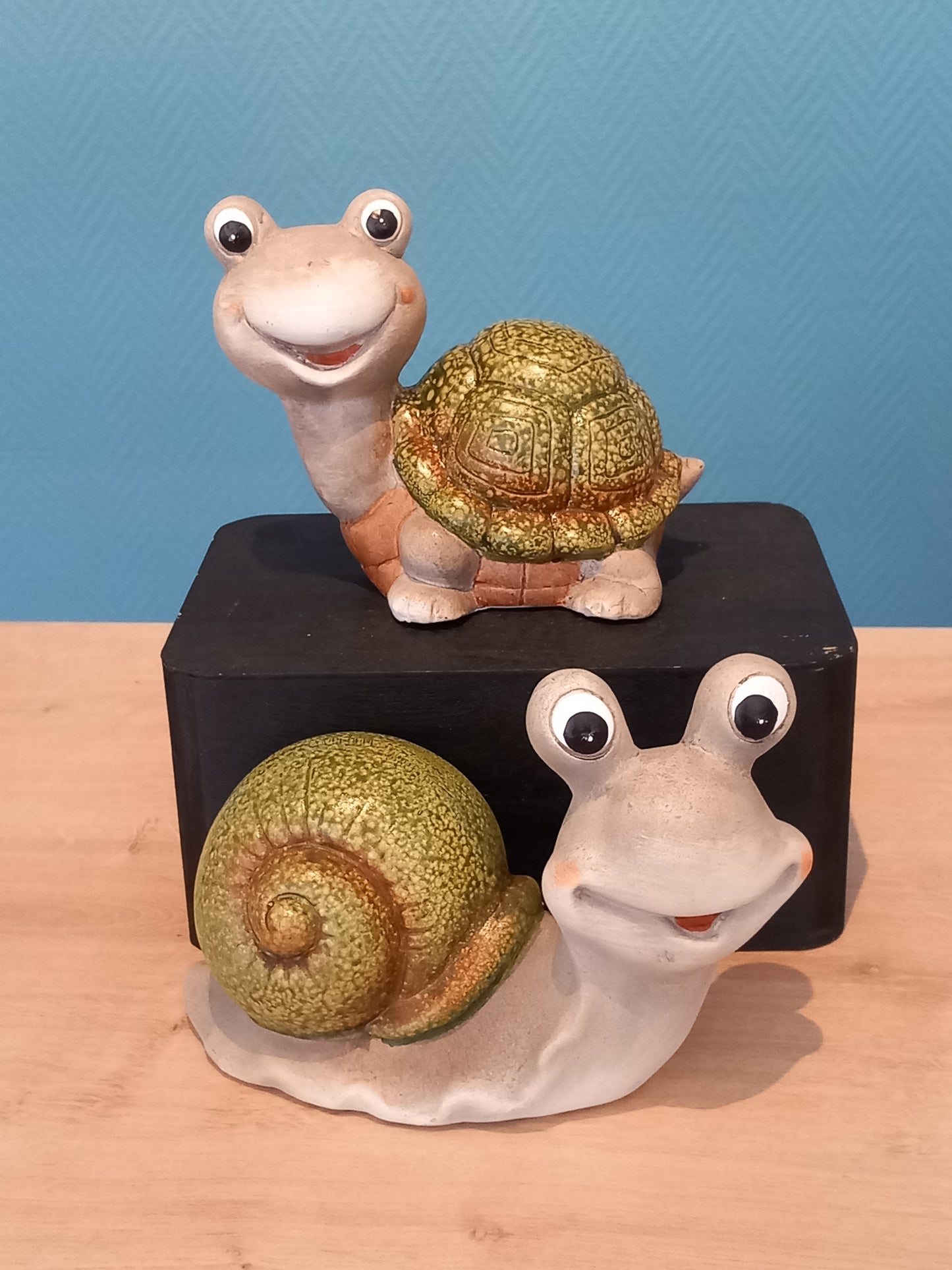 Escargot/Tortue