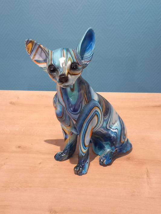 Chihuahua Bleu