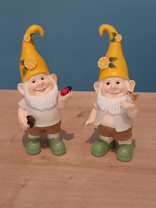 Gnome Citron