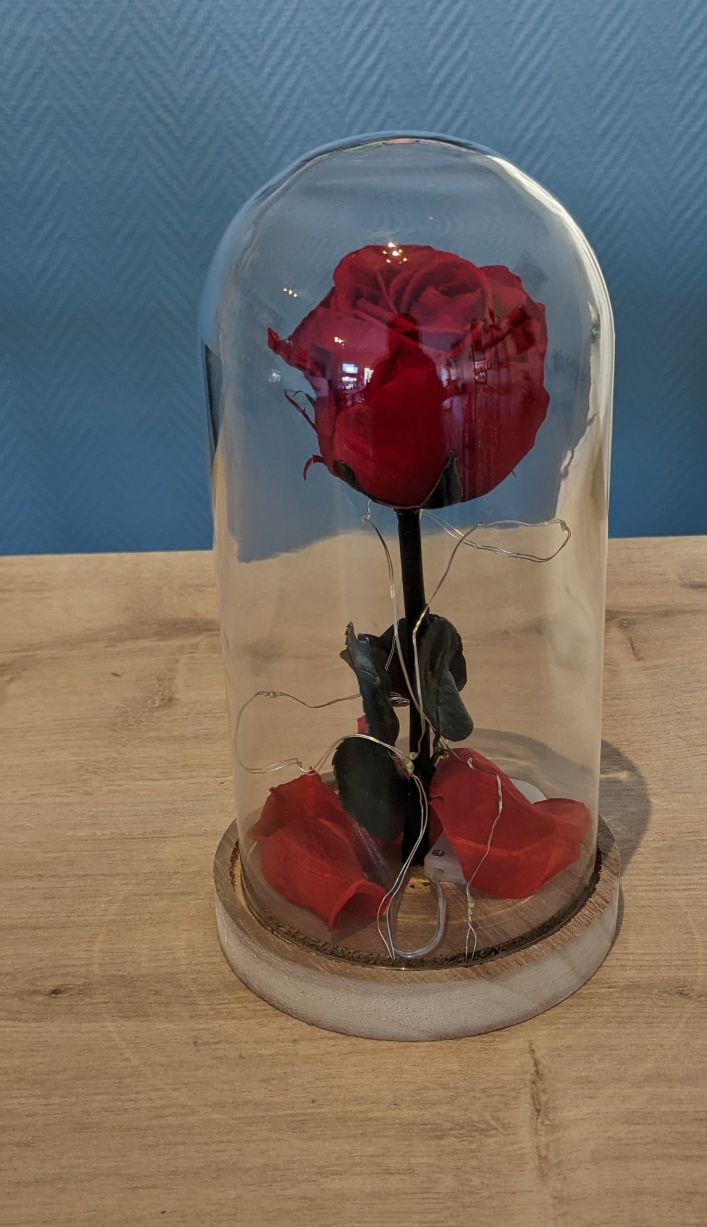 Rose + LED sous cloche